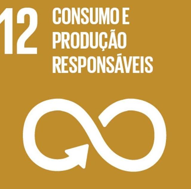 ODS 12